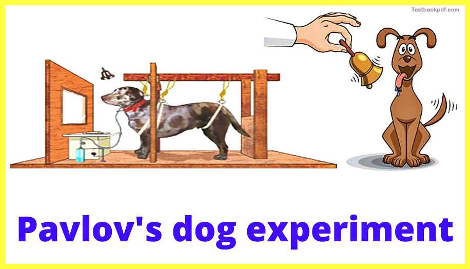 IVAN-PAVLOV-DOG-EXPERIMENT-A-Brief-History-of-Cognitive-Psychology-Theory