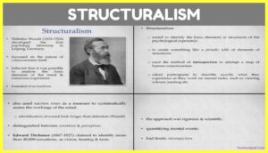 A-Brief-History-of-Cognitive-Psychology-Theory-Example-images-Pdf-structuralism