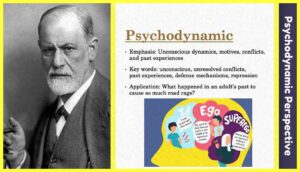 Psychodynamic-Perspective-Theory-Examples-Images-testbookpdf