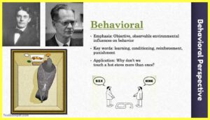 Behavioral-Perspective-Theory-Examples-Images-testbookpdf