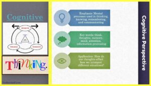Cognitive-Perspective-Theory-Examples-Images-testbookpdf