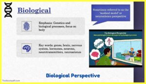 Biological-Perspective-Theory-Examples-Images-testbookpdf