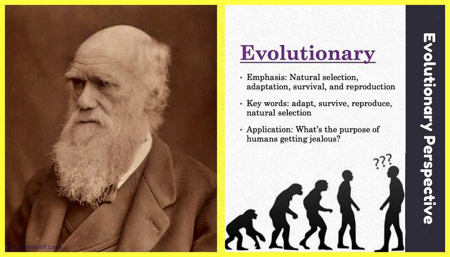 Evolutionary-Perspective-Theory-Examples-Images-testbookpdf