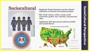 SocioCultural-Perspective-Theory-Examples-Images-testbookpdf