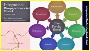 Integration-Bio-Psycho-Social-Model-Theory-Examples-Images-testbookpdf