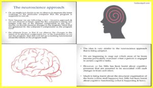 Neuroscience-Approach-Towards-Cognitive-Psychology