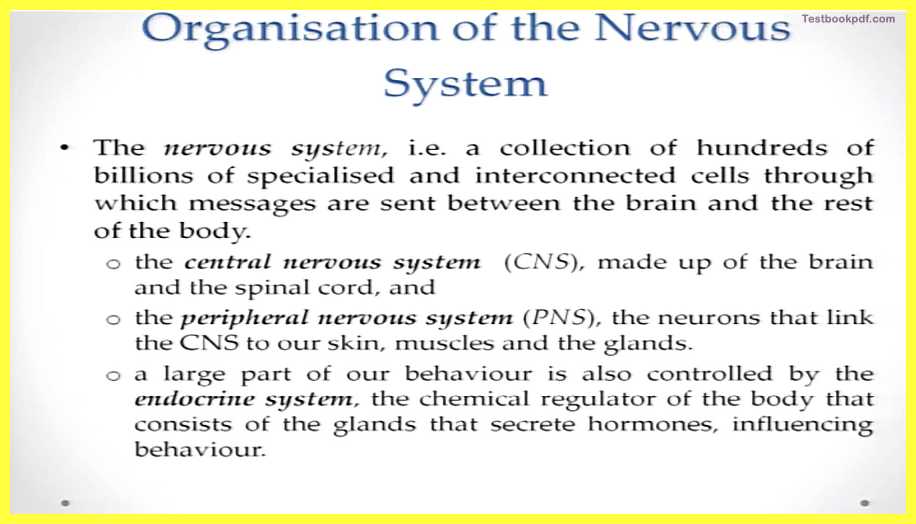 Basic-Concepts-in-Cognitive-Neuroscience-Pdf-Download