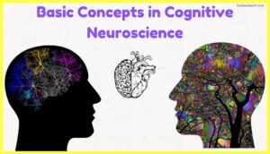 Basic-Concepts-in-Cognitive-Neuroscience-Pdf-Download