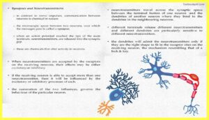 Basic Concepts in Cognitive Neuroscience Pdf Download 7