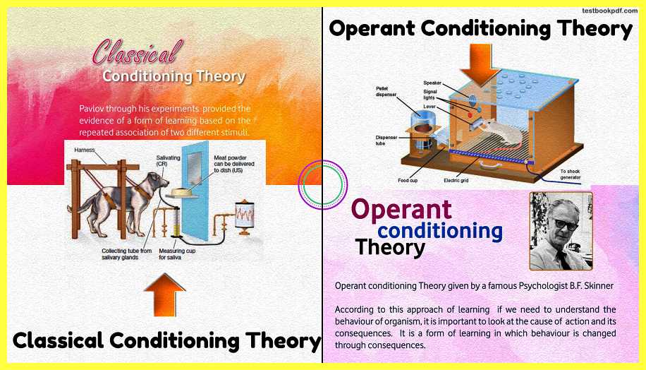 Pavlov-classical-and-operant-conditioning-behaviorism-Psychology-Theory-Examples-Images-pdf