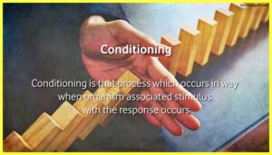 conditioning-Behaviorism-Psychology-Theory-Examples-Images-Pdf-Link