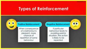 2-Types-of-Reinforcement-behaviorism-Psychology-Theory-Examples-Images-pdf