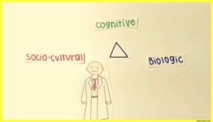 Complete Cognitive Psychology Theory Examples Images Pdf 2