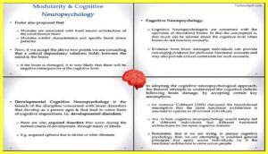 Modularity-and-Cognitive-Neuropsychology
