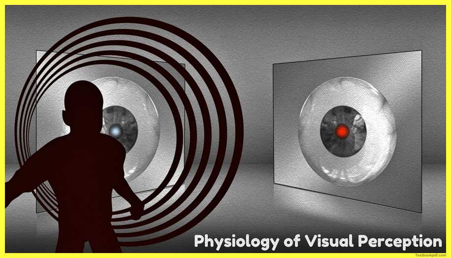 Physiology-of-Visual-Perception