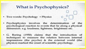 What-is-Psychophysics