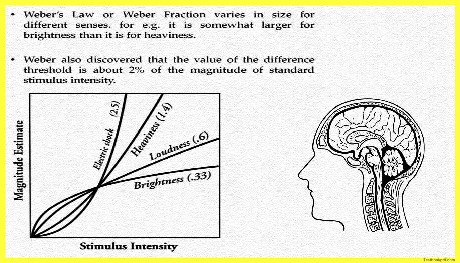 Weber’s-law-Psychophysics-Measuring-Sensation