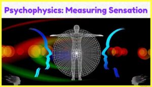 Psychophysics-Measuring-Sensation-pdf-download-psychology