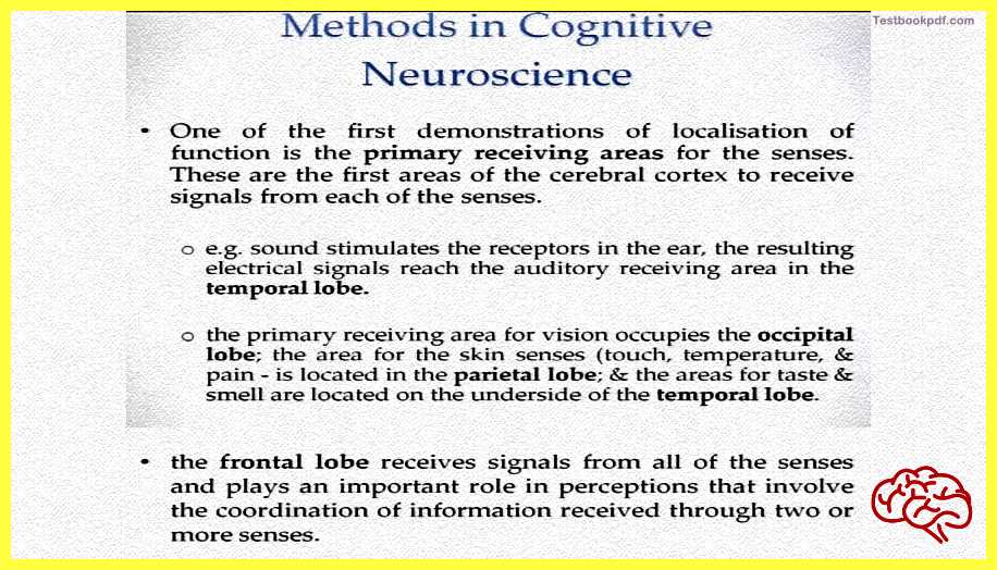 Methods-in-Cognitive-Neuroscience-Research-Methods-in-Cognitive-Psychology