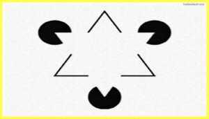 Triangle-and-circle-illusion-Sensation-and-Perception-Psychology-Pdf