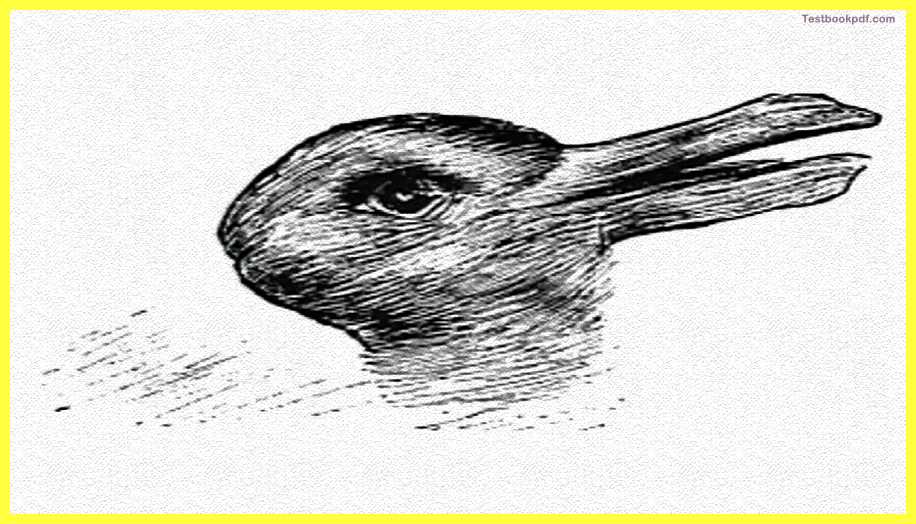 rabbit-and-bird-illusion-Sensation-and-Perception-Psychology-Pdf