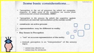 Sensation-and-Perception-Psychology-Pdf