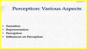 Sensation-and-Perception-Psychology