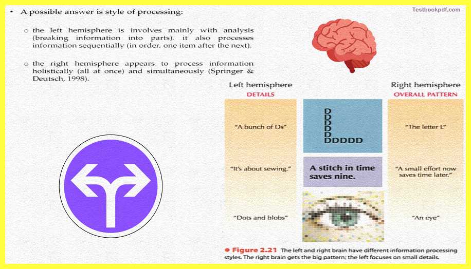 hemisphere-The-Cerebral-Cortex-Psychology-Theory-Images-Pdf-Download