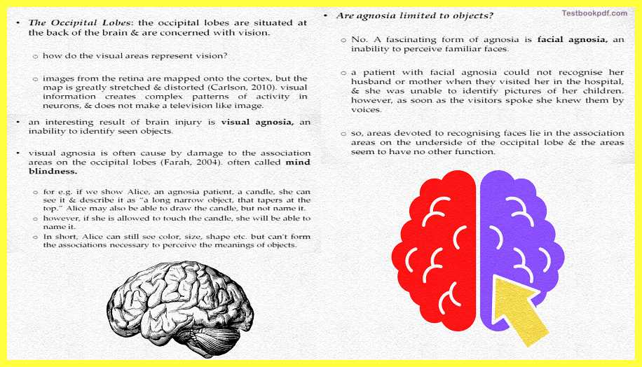 agnosia-mindblindness-The-Cerebral-Cortex-Psychology-Theory-Images-Pdf-Download