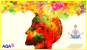 AS-and -A-Level-Psychology-testbookpdf