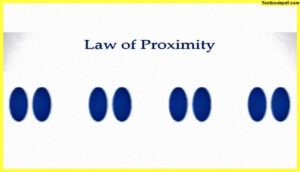 law-of-proximity-Approaches-to-Visual-Perception