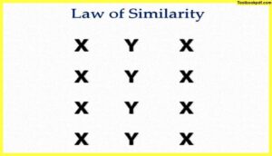 law-of-similarity-Approaches-to-Visual-Perception