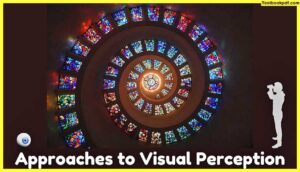 Approaches-to-Visual-Perception