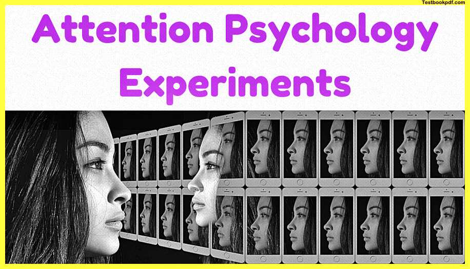 Attention-Psychology-Experiment