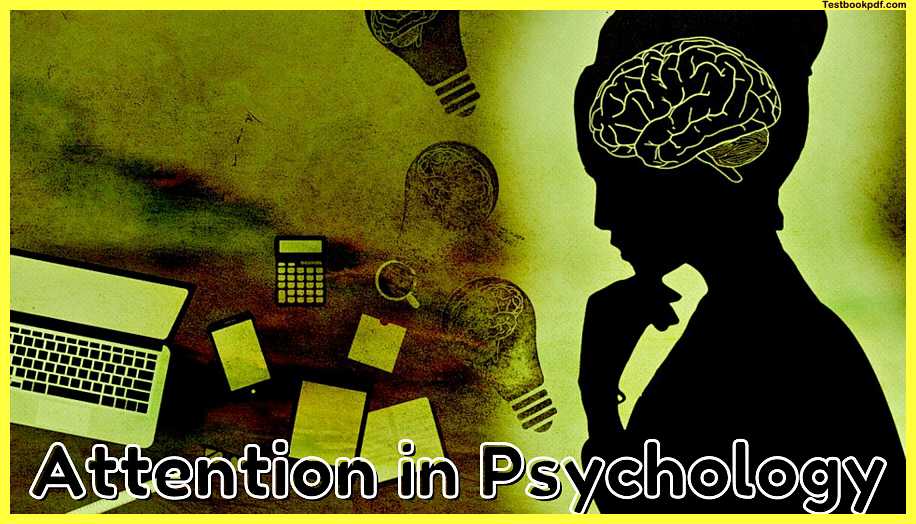 Attention-in-Psychology-Pdf