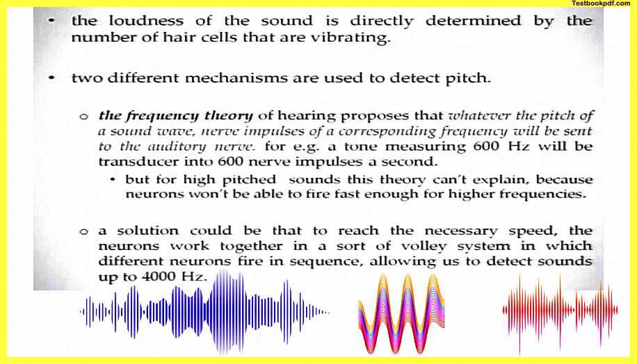 Two-Different-Mechanisms-Auditory-Perception-in-Psychology