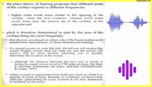 Auditory-Perception-in-Psychology