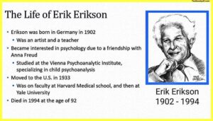 Erik-Erikson-Stages-of-Development-8-Stages-Theory-Images