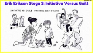 Erik-Erikson-Stage-3-Initiative-Versus-Guilt