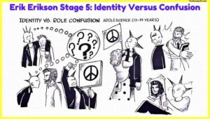 Erik-Erikson-Stage-5-Identity-Versus-Confusion