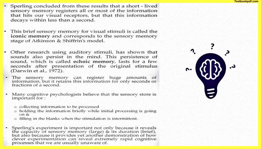 Memory-Psychology-PDF