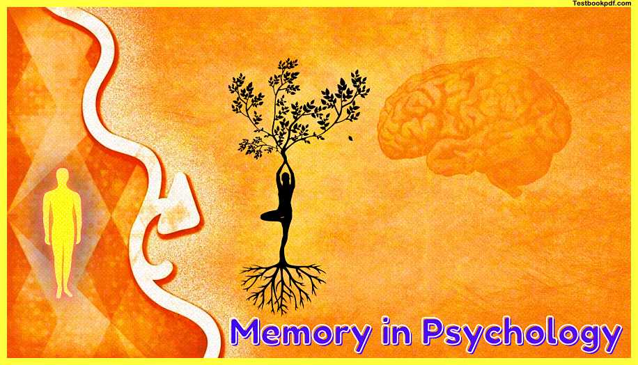 Memory-in-Psychology