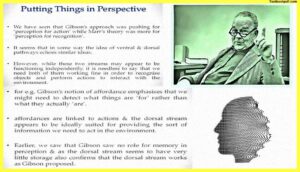 Perception-and-Action-Psychology