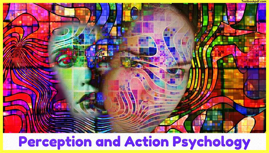 Perception-and-Action-Psychology