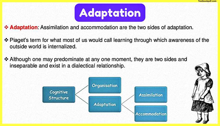 Adaptation-in-Piaget-Theory-of-Development
