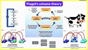 Piaget-Schema-Theory-Image