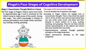 piaget-sensorimotor-stage-of-cognitive-development