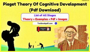 Piaget-Theory-Of-Cognitive-Development-Pdf-Download
