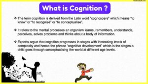 What-is-Cognitionin-Piaget-Theory-of-Development