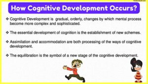 How-Cognitive-Development-Occursin-Piaget-Theory-of-Development
